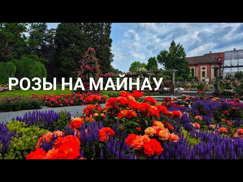 Видео: Рай роз на острове цветов Майнау, Германия, Боденское озеро