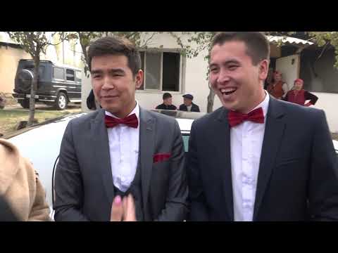 Видео: Той 2