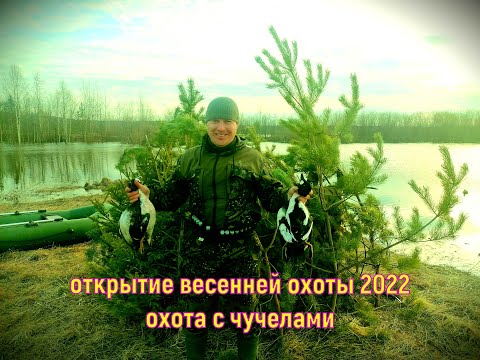 Видео: охота на утку 2022 Республика Коми#открытие весенней охоты 2022# охота с чучелами