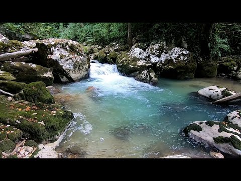 Видео: Форель горных рек Кавказа. Рыбалка в сказочных местах.