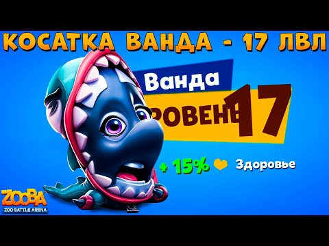 Видео: КАЧАЕМ КОСАТКУ ВАНДУ НА 17 УРОВЕНЬ!!! АПТЕЧКИ НЕ НУЖНЫ В ИГРЕ ZOOBA