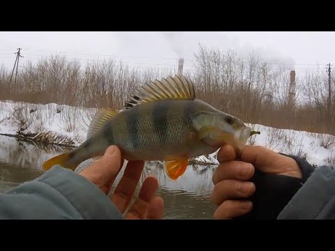 Видео: Мормышинг НаНоджишинг ОКУНЬ спиннинг зимой Mukai as 1632
