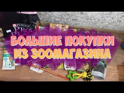 Видео: Покупки из зоомагазина | Ева стала мамой | Пополнение в семье