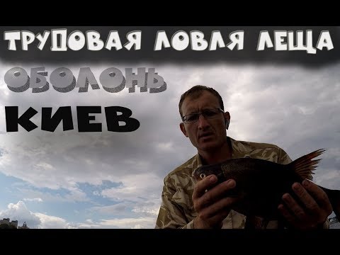 Видео: Трудовая ловля леща. Оболонь. Киев