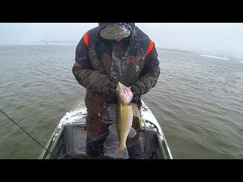 Видео: ПЕРВЫЙ ЛЁД ПРОШЁЛ и РВАНУЛИ ЛОВИТЬ СУДАКА! УТРЕННЯЯ РАЗДАЧА СУДАКА ПОЗДНЕЙ ОСЕНЬЮ!