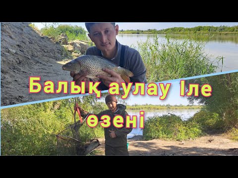 Видео: Балық аулау Іле өзені 15.09.2024