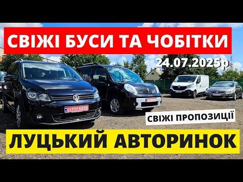 Видео: СВІЖІ ЦІНИ НА БУСИ ТА ЧОБІТКИ // ЛУЦЬКИЙ АВТОРИНОК / 24.07.25р. #автопідбір #буси #ренокенго #трафік