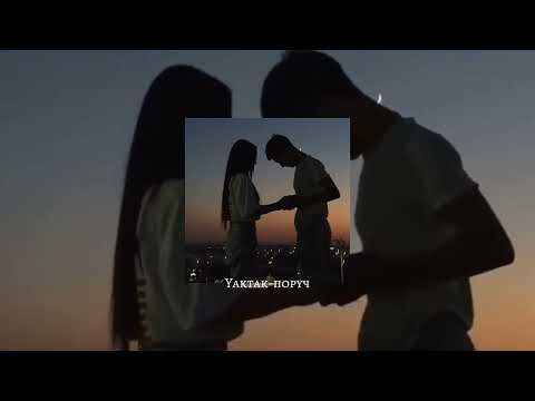 Видео: Yaktak-поруч speed up