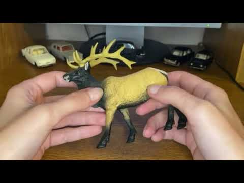 Видео: 94. Обзор фигурки Safari LTD вапити (арт. 180329, 2013)