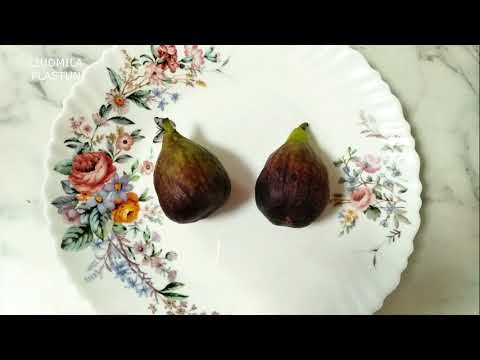 Видео: ИНЖИР черенками под зиму. Черенкуем сразу в землю на участке.