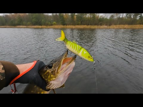 Видео: РЫБАЛКА НА ОЗЕРЕ С ЛОДКИ.В ПОИСКАХ ОСЕННЕЙ ЩУКИ.РАЗЛОВИЛ СВИМБЕЙТЫ.ОТЛИЧНАЯ ПРИМАНКА.