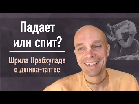 Видео: Падает или спит? Шрила Прабхупада о джива-таттве | Мадана-мохан дас