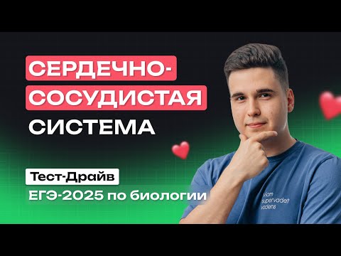 Видео: СЕРДЕЧНО-СОСУДИСТАЯ СИСТЕМА | Тест-Драйв NeoFamily