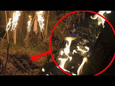 Видео: МОГИЛА ВЕДЬМЫ НА БОЛОТЕ