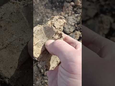 Видео: Трамбовка щебня виброплитой  Champion PS 5332 F. Опалубка подбетонки.