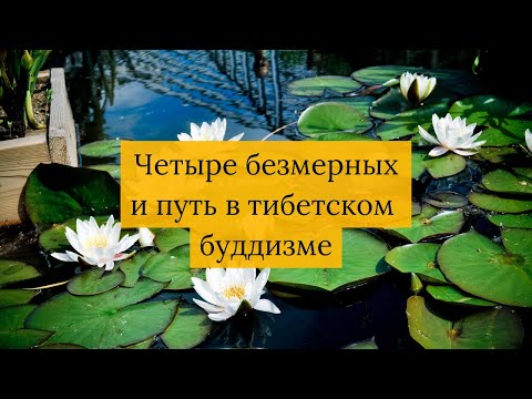Видео: Четыре безмерных и путь в тибетском буддизме