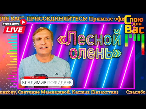 Видео: «Лесной олень»