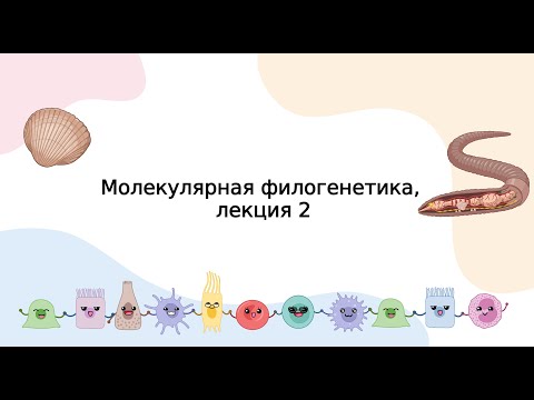 Видео: Молекулярная филогенетика, лекция 2 зоологии беспозвоночных