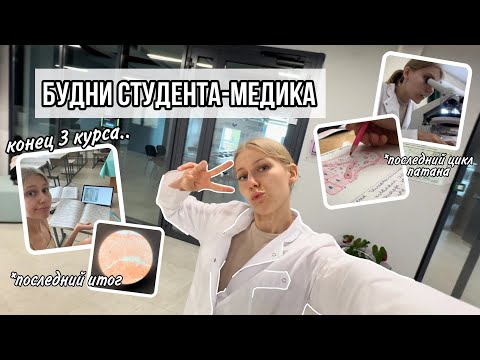 Видео: Влог: будни студента-медика // ПОСЛЕДНИЙ цикл патана // закрываем фармакологию // конец 3 курса...