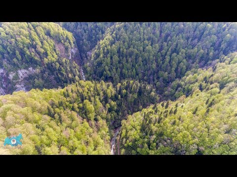 Видео: Гуамское ущелье. Весенняя экскурсия.