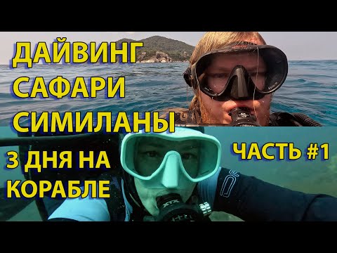 Видео: Дайвинг сафари на Симиланах часть 1