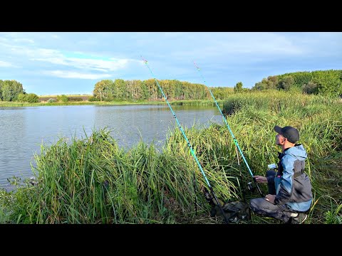 Видео: НАЛОВИЛ РЫБЫ И ПРИГОТОВИЛ МЯСО НА МАНГАЛЕ БУДУЩЕГО! Рыбалка с ночёвкой на донки крокодил.