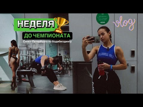 Видео: Vlog #4: неделя до турнира | как проходит моя подготовка