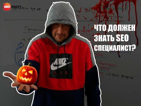 Видео: Что должен знать SEO специалист?