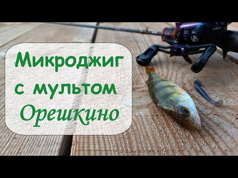Видео: Микроджиг с мультом.  Орешкино