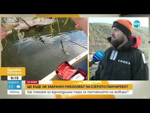 Видео: Край на риболова: Ще помогне ли мярката за състоянието на езерото Панчарево - Здравей, България