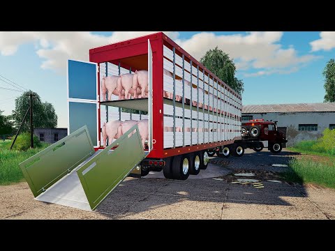 Видео: КУПИЛ 50 ПЕРВЫХ ПОРОСЯТ! НАЧИНАЕМ ВЫРАЩИВАТЬ! - FARMING SIMULATOR 2019