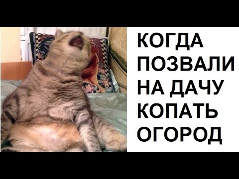 Видео: Лютые приколы. Мама позвала на дачу копать огород