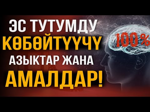 Видео: ЭС ТУТУМДУ КӨБӨЙТҮҮЧҮ АМАЛДАР
