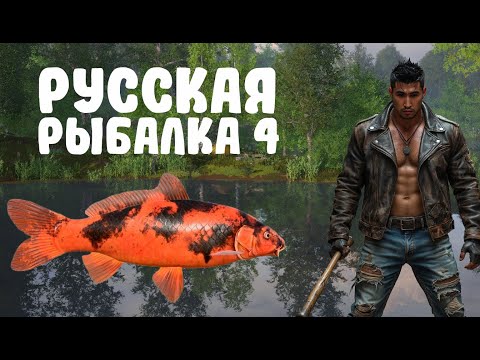 Видео: РР4! Путешествие по разным локациям где есть клёв и фарм! Русская Рыбалка 4