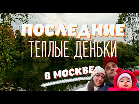 Видео: Семейная прогулка по парку Кузьминки | Природа, осень и душевный отдых