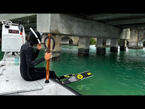 Видео: Когда всё остальное не работает... Прыжки с моста | Spear Clean Cook