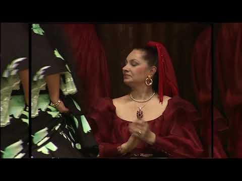 Видео: ТАТЬЯНА ФИЛИМОНОВА Концерт в Доме ученых Избранное