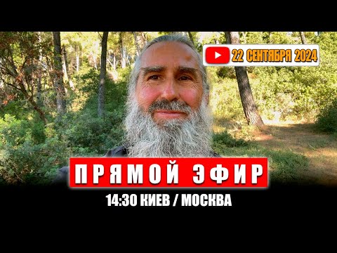 Видео: Прямой эфир 22 Сентября 2024