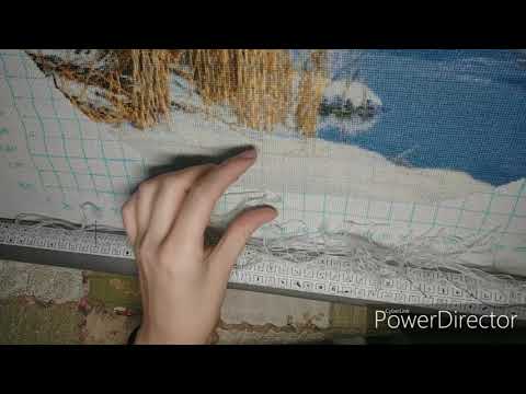 Видео: ТЭГ "Скажи многоцветкам да?"