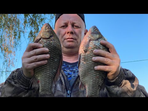 Видео: ПОЙМАЛ, ПОЖАРИЛ И ВКУСНО НАКОРМИЛ ДРУЗЕЙ В БАНЕ💨 РЫБА И МЯСО🐟🥩как приготовить✅карась✅мясо