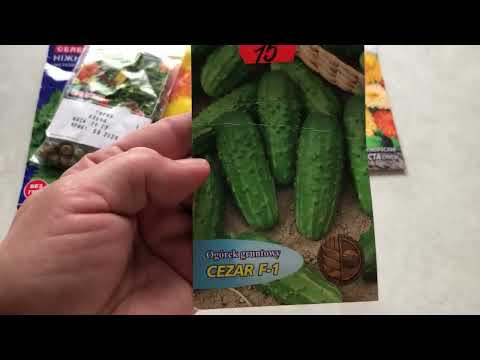 Видео: Какие семена купила. Была на рынке.