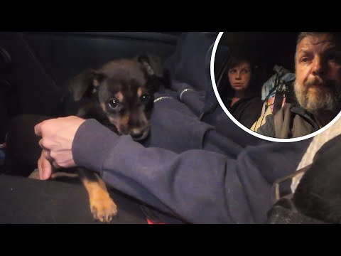 Видео: Либо усыпить либо забрать, как поступили бы вы?