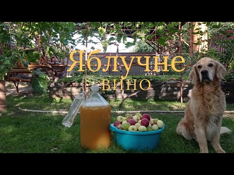 Видео: Яблучне вино!смачне і якісне