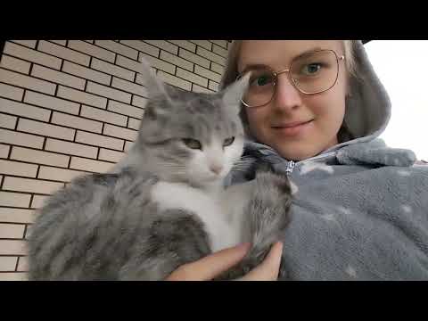 Видео: VLOG Школьные будни🎒 Семён спит в будке?🐈