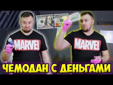 Видео: Потерянный Чемодан с ДЕНЬГАМИ ✅