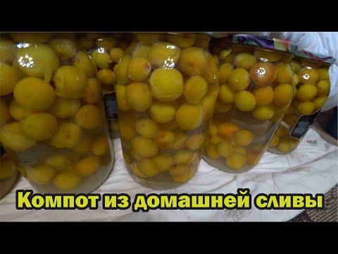 Видео: Компот из домашней желтой сливы