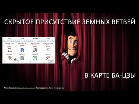 Видео: Скрытое присутствие земных ветвей в карте Ба-цзы.