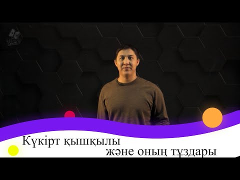 Видео: Күкірт қышқылы және оның тұздары. 9 сынып.