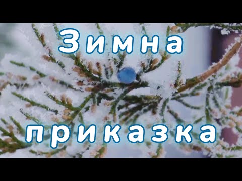 Видео: Зимна приказка