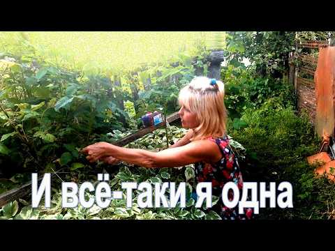 Видео: Бабушка, дай сена! | Живу одна на краю села, без удобств и комфорта.